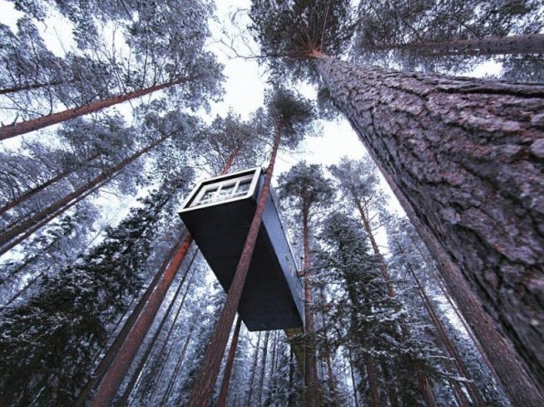 Treehotel in Sweden